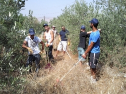 Volunteers working the land