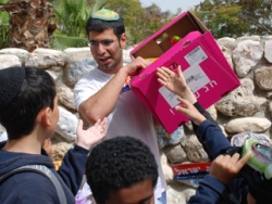 Lavi Cohen with his hands full 