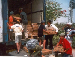 Delivering food packages to needy families