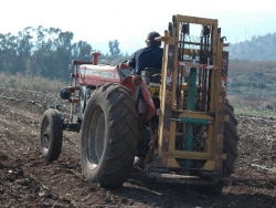 preparing the ground