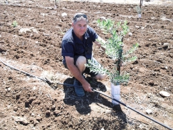 recently installed irrigation lines